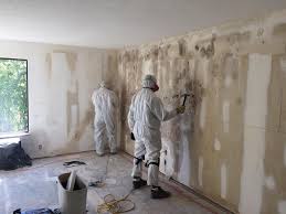 Best Basement Mold Removal  in Stottville, NY